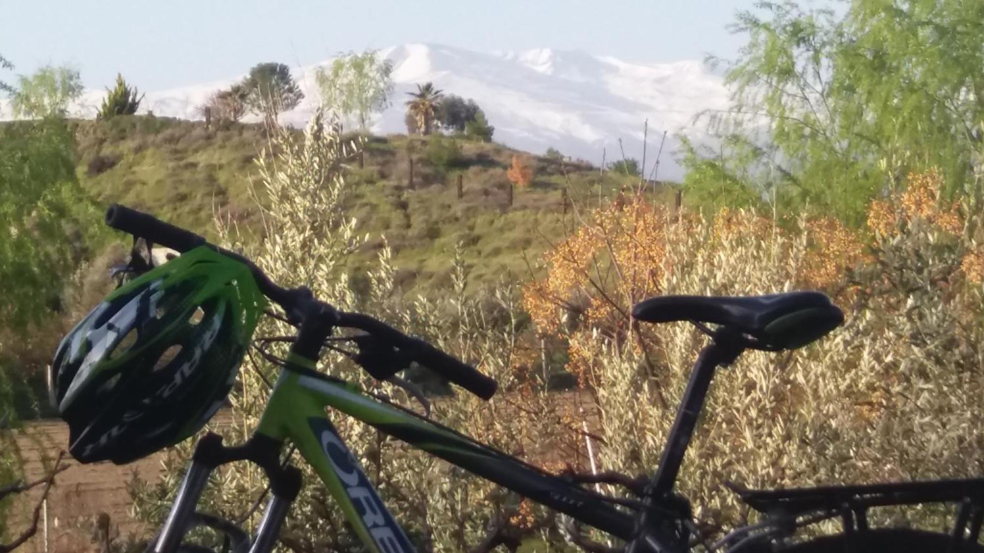 Affittacamere Cuevas La Chumbera Benalúa de Guadix Esterno foto